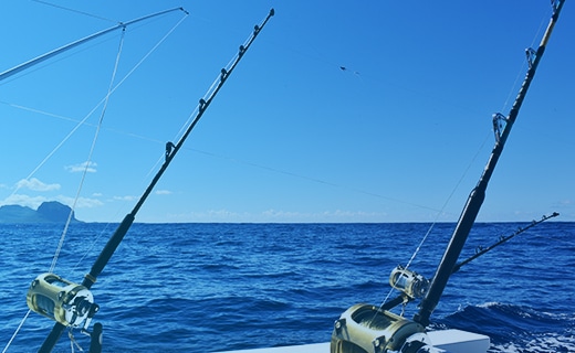 海釣りの魅力